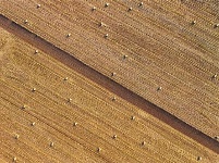 镜头 | 木叶尽落 冬序初开