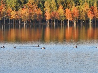 镜头 | 大美11月
