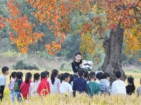 镜头 | 大美11月