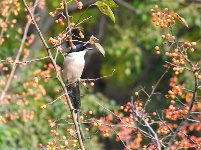 镜头 | 木叶尽落 冬序初开