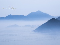 镜头 | 大美11月