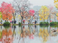 鏡頭 | 寒隨小雪至