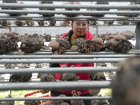 镜头 | 木叶尽落 冬序初开