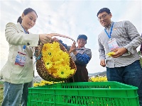 镜头 | 提升基层监督质效