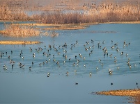 镜头 | 大美12月