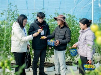 镜头 | 强化民生领域监督执纪