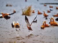 鏡頭 | 冬至陽(yáng)生 歲寒日暖