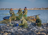 鏡頭 | 大雪知?dú)q寒