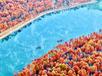 镜头 | 大美12月