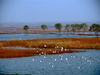 鏡頭 | 大雪知?dú)q寒