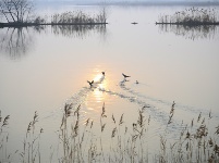 鏡頭 | 冬至陽(yáng)生 歲寒日暖