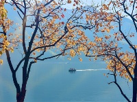 鏡頭 | 大雪知?dú)q寒