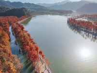 鏡頭 | 大雪知?dú)q寒