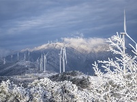 镜头 | 大美12月