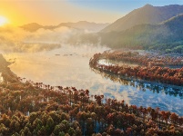 鏡頭 | 大雪知?dú)q寒