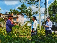 镜头 | 提升基层监督质效