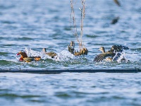 鏡頭 | 冬至陽(yáng)生 歲寒日暖