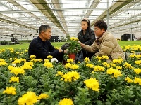 镜头 | 强化民生领域监督执纪