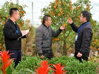 镜头 | 提升基层监督质效