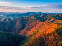 鏡頭 | 冬至陽(yáng)生 歲寒日暖