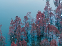 镜头 | 大美12月