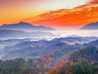 鏡頭 | 冬至陽(yáng)生 歲寒日暖