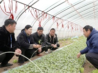 镜头 | 强化民生领域监督执纪