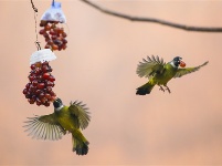 镜头 | 大美12月
