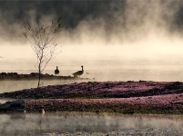 鏡頭 | 大雪知?dú)q寒