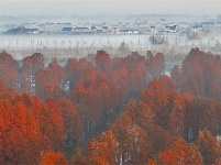 镜头 | 大美12月