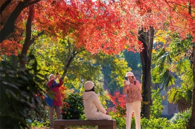 鏡頭 | 大雪知?dú)q寒