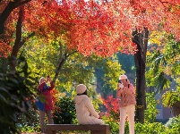 鏡頭 | 大雪知?dú)q寒