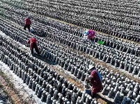 鏡頭 | 大雪知?dú)q寒