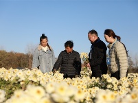 镜头 | 提升基层监督质效