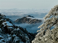 镜头 | 大美一月