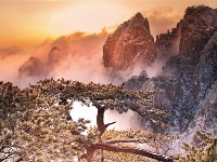 镜头 | 小寒雪盛 静待春归