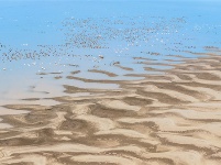 镜头 | 小寒雪盛 静待春归
