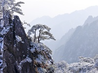 镜头 | 大寒却暖雪晴天