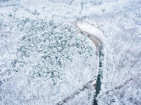 镜头 | 大寒却暖雪晴天