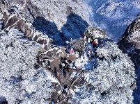 镜头 | 小寒雪盛 静待春归