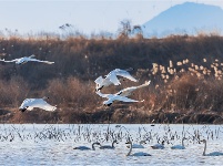 镜头 | 大美一月