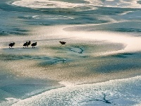 镜头 | 大美一月