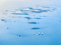 镜头 | 大寒却暖雪晴天