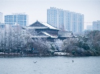 镜头 | 小寒雪盛 静待春归