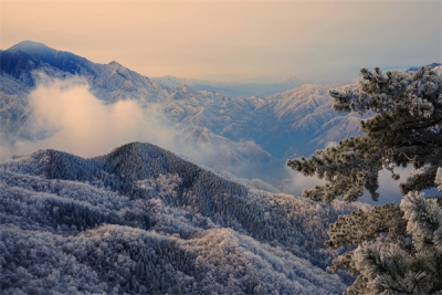 镜头 | 大寒却暖雪晴天