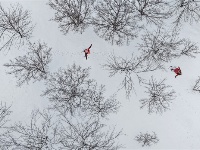 镜头 | 大美一月