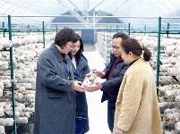 镜头 | 深化运用群众点题机制