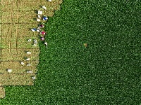 镜头 | 大寒却暖雪晴天