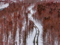 镜头 | 大美一月