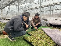 镜头 | 谋篇布局 持续从严